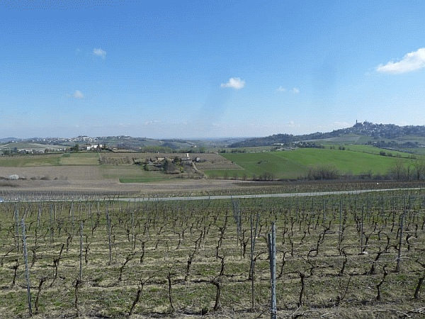Passaggio nei vigneti