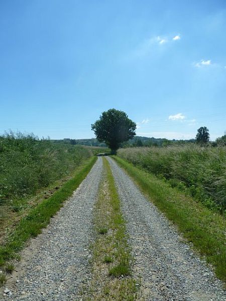 Il percorso nella campagna