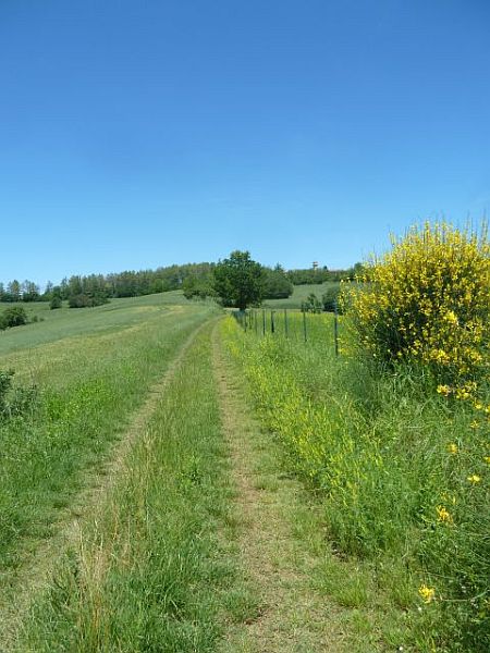 Il sentiero nella natura