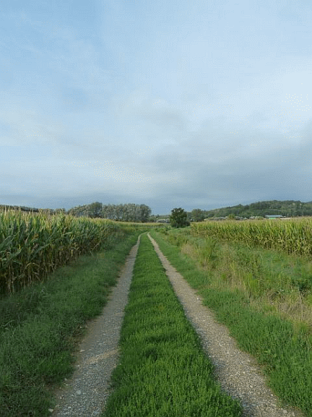 La stradina sul fondovalle