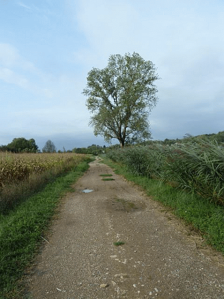Un tratto del percorso