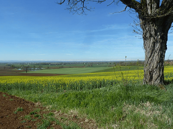 Panorama dal sentiero