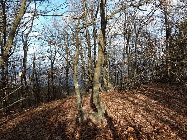 La cima del Monte Ratto