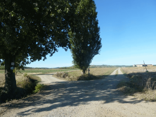 Verso la meta