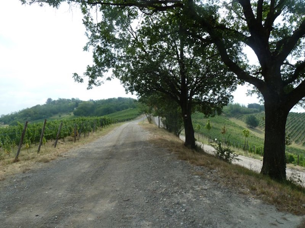 La strada sul crinale