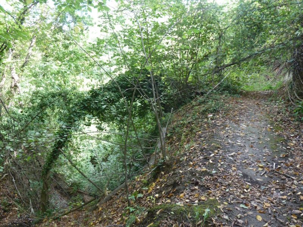 Impluvio dove sorge il Torrente Ossona