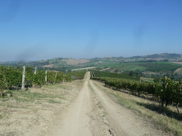 Passaggio fra i vigneti