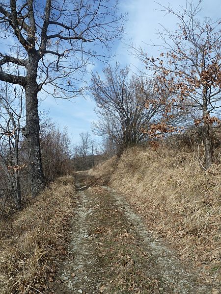 La carrareccia