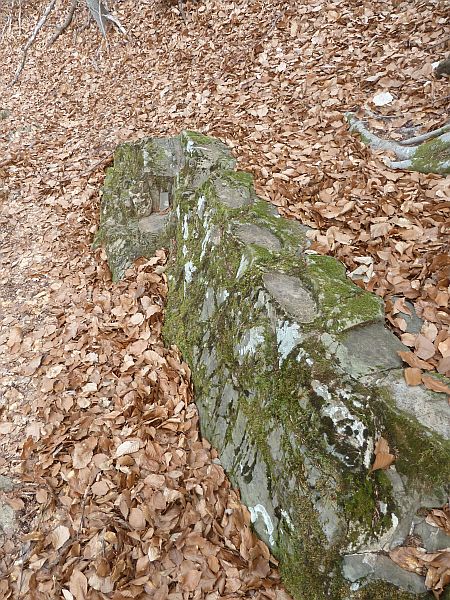 Le Orme del Boia