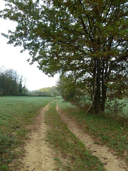 Il primo tratto del percorso