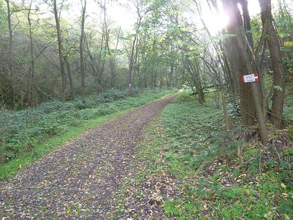 Passaggio nel bosco