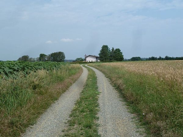 La carrareccia tra i campi