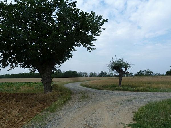 Bivio di campagna