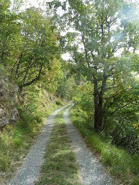 La carrareccia nel verde