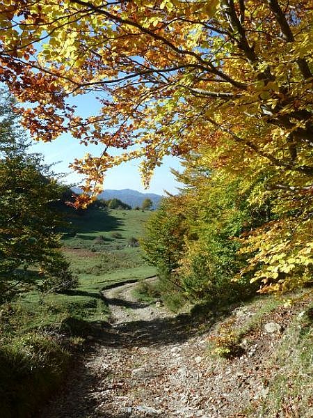 I colori dell’autunno