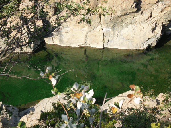 Le acque smeraldine del Gorzente