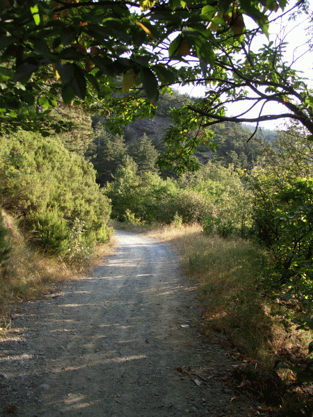 Un tratto del percorso