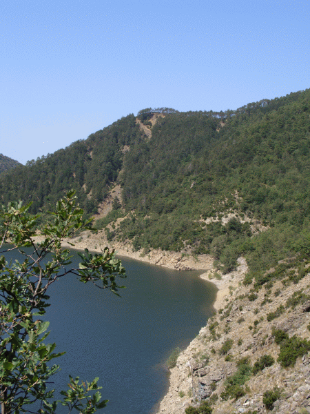 Cartolina dal lago