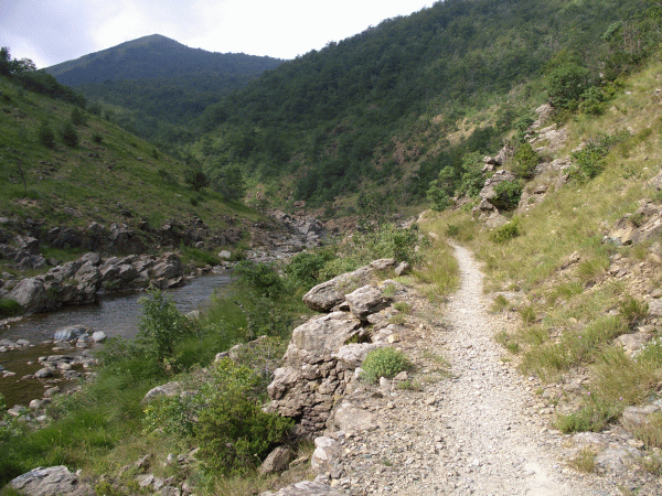 Il sentiero costeggia il torrente