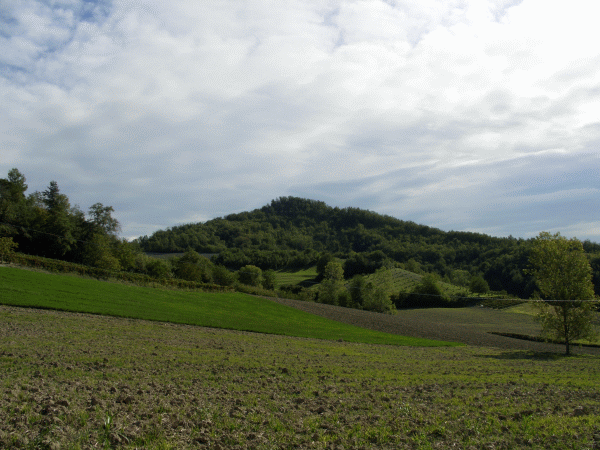 Il Monte Favato (mt. 452)