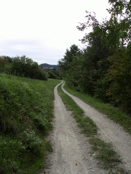 La valle di Rifredda