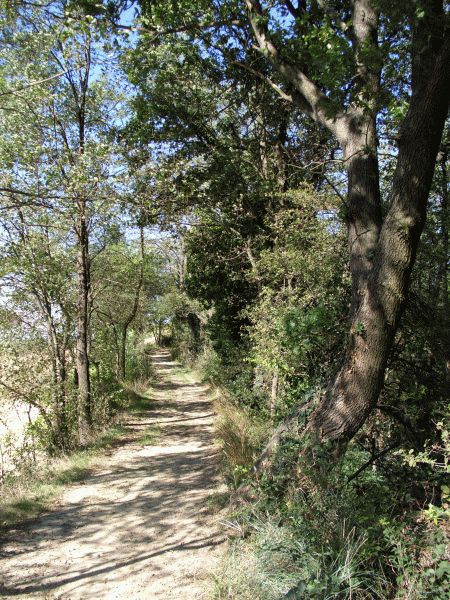 La zona nei pressi del Bric del Pero