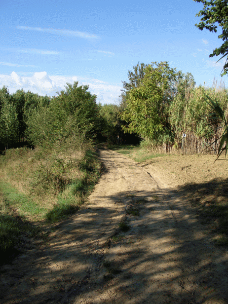Un tratto del percorso