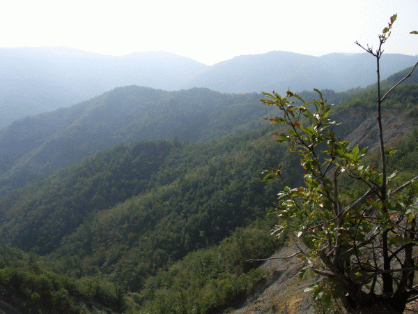 Paesaggio con i rilievi della Val Borbera