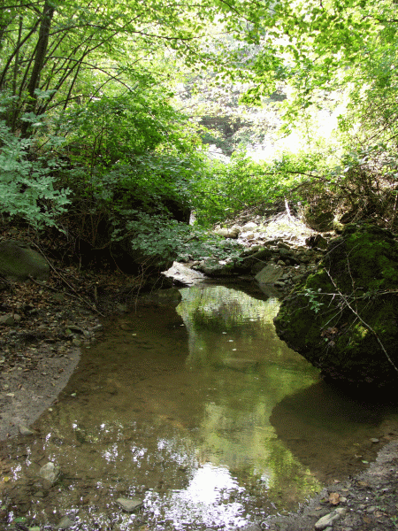Il Rio Dorzegna