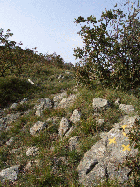 Verso il Monte delle Figne