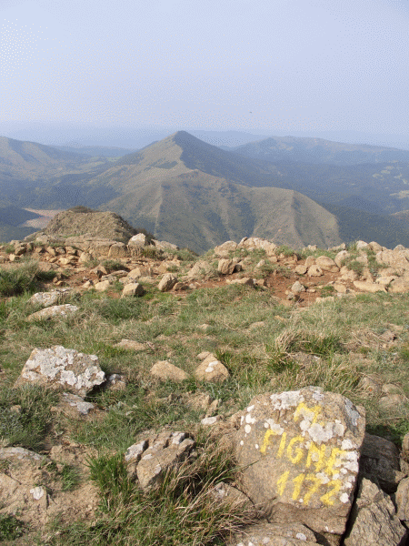 Panorama dal Monte delle Figne (mt. 1172)