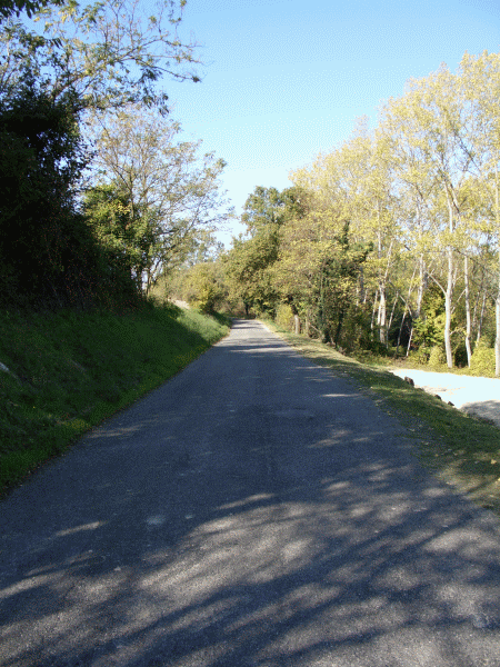 La strada verso Murisengo