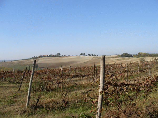 Le dolci colline della Val Cerrina