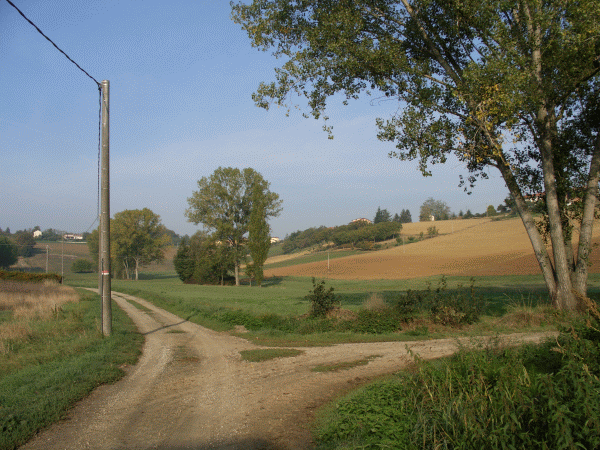 Il percorso nei pressi della Cascina Borghina