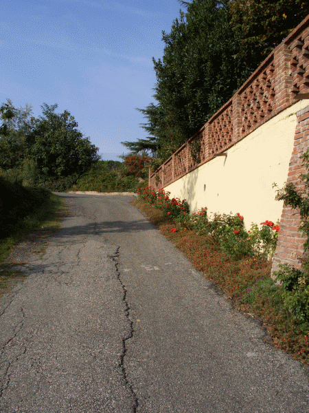 Il percorso nei pressi della Cascina Rosetta