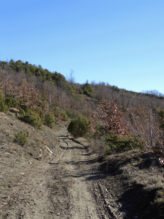Scorcio del Torrente Grana