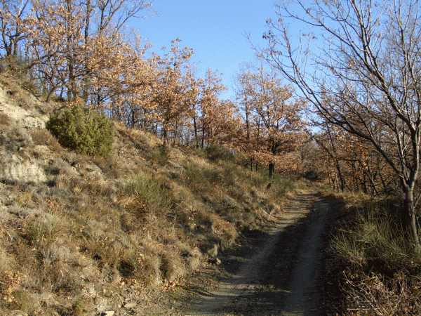 Veduta del percorso