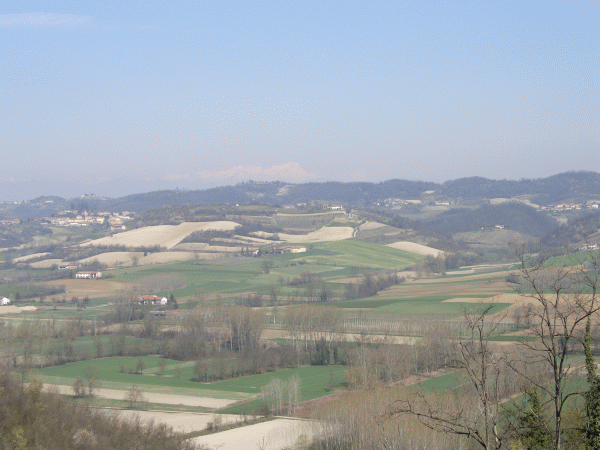 Panorama della Val Cerrina con le Alpi sullo sfondo