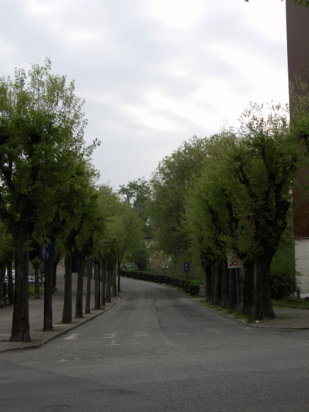 L’inizio del percorso a Valenza 