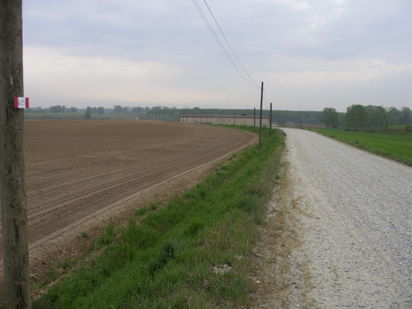 Verso la cascina Pallavicina