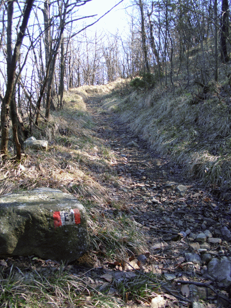 Un tratto del percorso