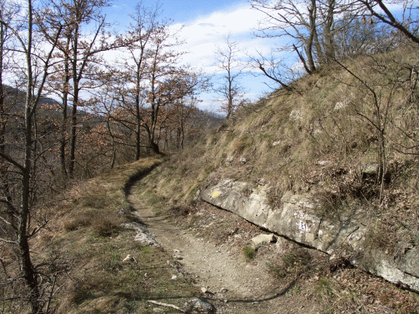 Scorcio del sentiero
