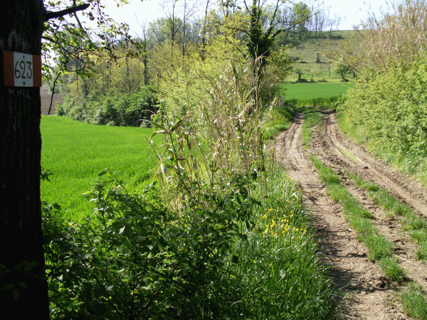Un tratto del percorso