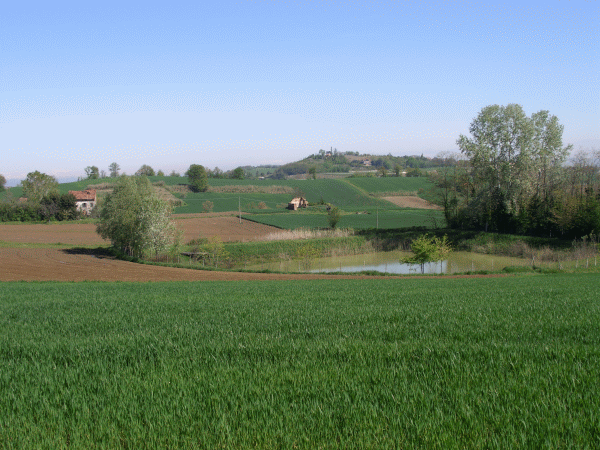 Il laghetto delle cascine Vecchie