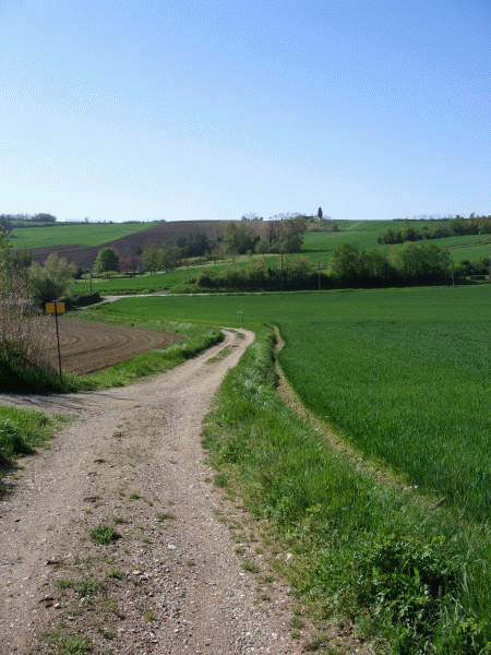 Verso il Bric Montalbano
