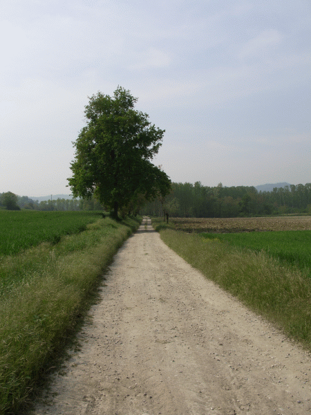 Strada verso Varengo