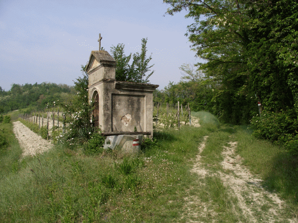 Edicola votiva tra le vigne