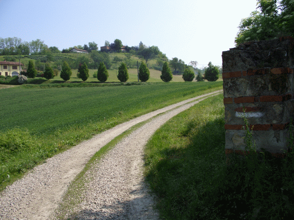 Il sentiero nei pressi della Cascina Boschetto