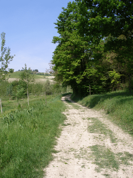 Il sentiero nel fondovalle