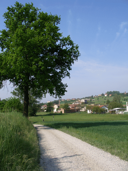 Un tratto del sentiero